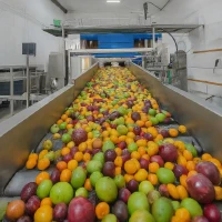 Food processing machinery that relies on electronic components to automatically sort a variety of fresh fruits on a production line.